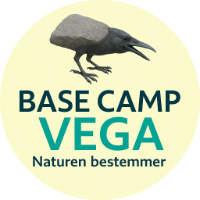 Base Camp Vega Logo