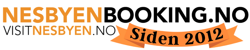 Nesbyenbooking.no Logo