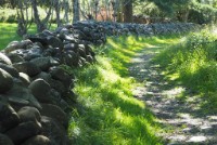 Guidet sykkeltur ut til Færder Nasjonalpark