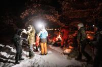 HUSKY UNDER THE STARS