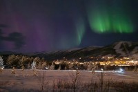 HUSKY UNDERTHE STARS