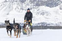 Hundekjøring i Hemsedal