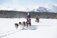 Hundekjøring Hemsedal Huskies