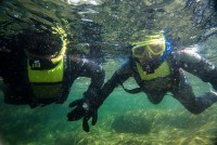 Elvesnorkling Hemsila