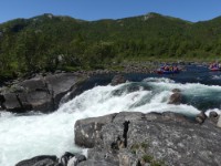 Vikingrafting - nivå 3