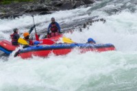 Vikingrafting - nivå 3